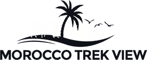 Morocco View Tours Logo